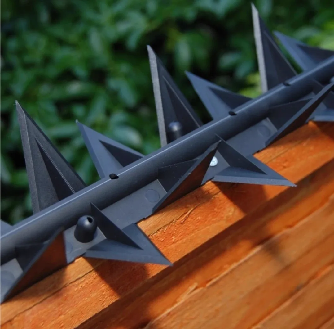 Anti-Climb Fence & Wall Spikes — photo 1 of 9